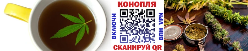 KRAKEN ССЫЛКА  Светлогорск  Cannafood конопля  сколько стоит 