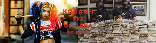 Альфа ПВП Беломорск