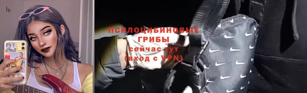 гашик Белокуриха