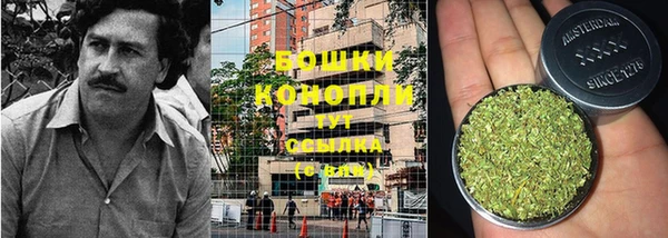 гашик Белокуриха