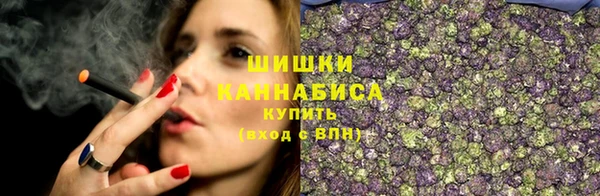 гашик Белокуриха