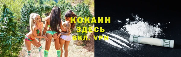 гашик Белокуриха