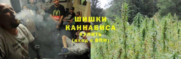 гашик Белокуриха